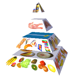 Potravinová pyramida