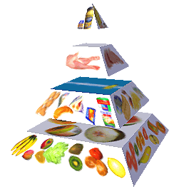 Potravinová pyramida