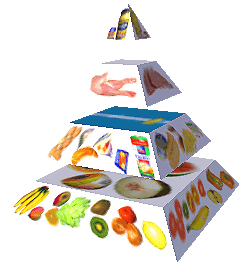 Potravinová pyramida