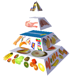 Potravinová pyramida