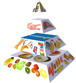 Potravinová pyramida