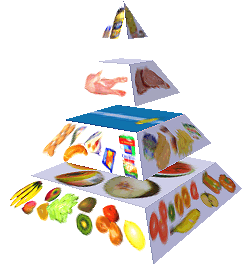 Potravinová pyramida