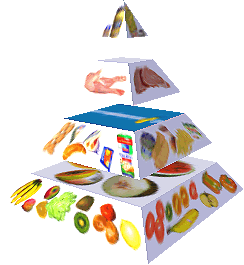 Potravinová pyramida