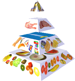 Potravinová pyramida