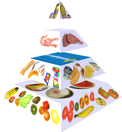 Potravinová pyramida