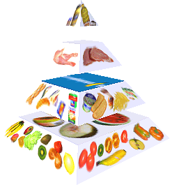 Potravinová pyramida