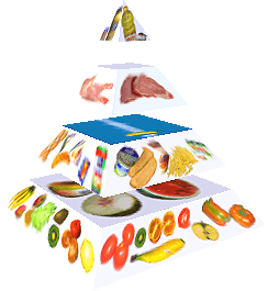 Potravinová pyramida