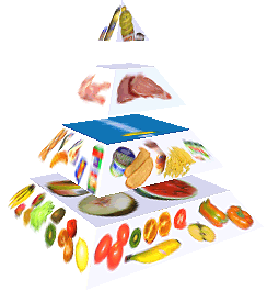 Potravinová pyramida