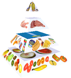 Potravinová pyramida