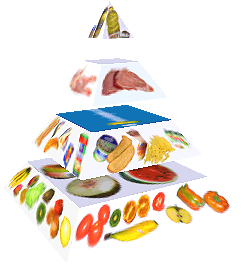 Potravinová pyramida