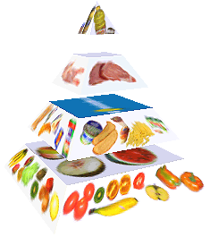 Potravinová pyramida