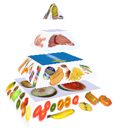 Potravinová pyramida