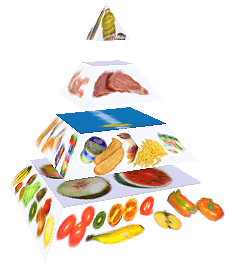 Potravinová pyramida