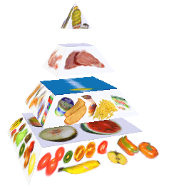 Potravinová pyramida