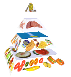 Potravinová pyramida