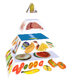 Potravinová pyramida
