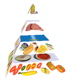 Potravinová pyramida