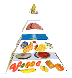 Potravinová pyramida