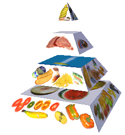 Potravinová pyramida