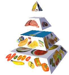 Potravinová pyramida