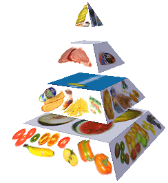 Potravinová pyramida