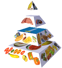 Potravinová pyramida