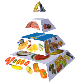 Potravinová pyramida