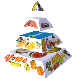 Potravinová pyramida