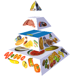 Potravinová pyramida