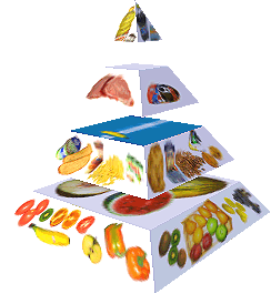 Potravinová pyramida