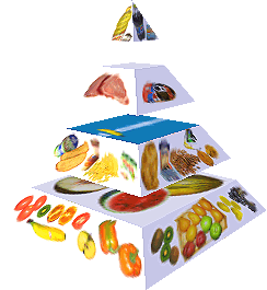 Potravinová pyramida
