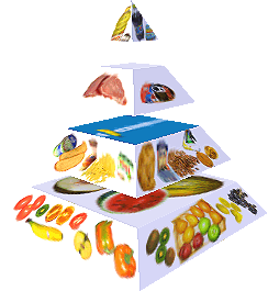 Potravinová pyramida