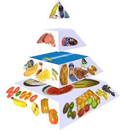 Potravinová pyramida