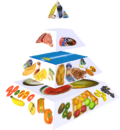 Potravinová pyramida
