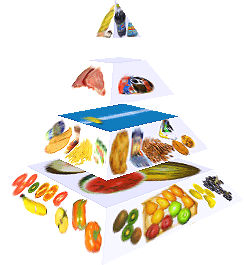 Potravinová pyramida
