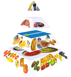 Potravinová pyramida