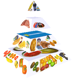 Potravinová pyramida