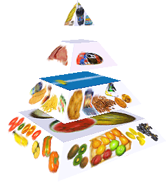 Potravinová pyramida