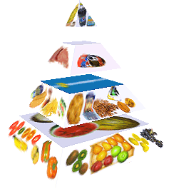 Potravinová pyramida