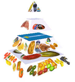 Potravinová pyramida