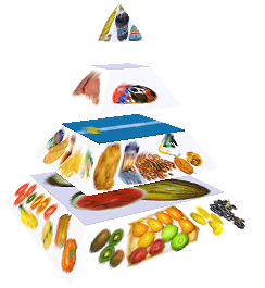 Potravinová pyramida