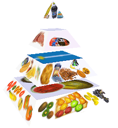 Potravinová pyramida