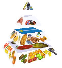 Potravinová pyramida