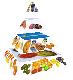 Potravinová pyramida