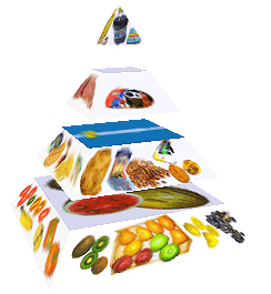 Potravinová pyramida