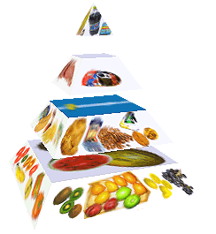Potravinová pyramida