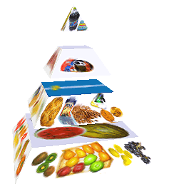 Potravinová pyramida