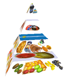 Potravinová pyramida