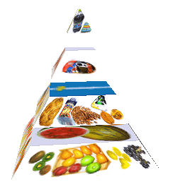 Potravinová pyramida