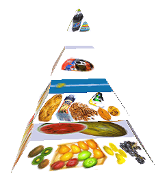 Potravinová pyramida